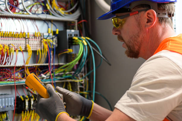 Best Electric Panel Repair  in Peculiar, MO